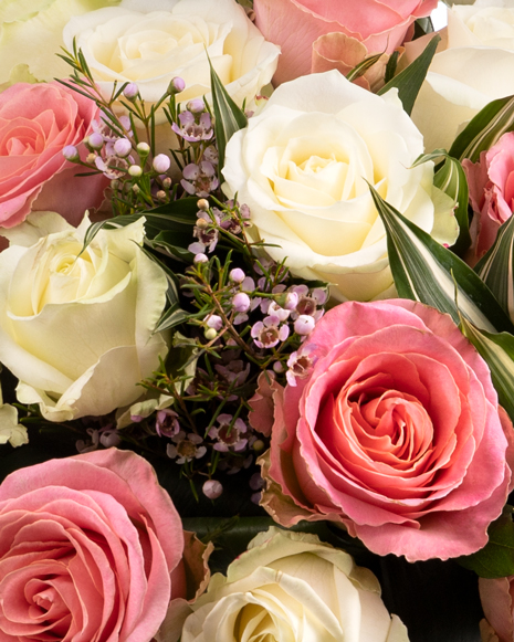 Buchet clasic din trandafiri albi şi roz
