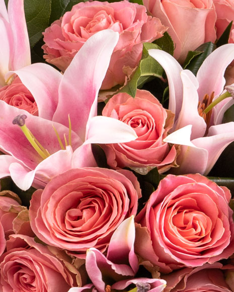 Pink roses and lilies bouquet