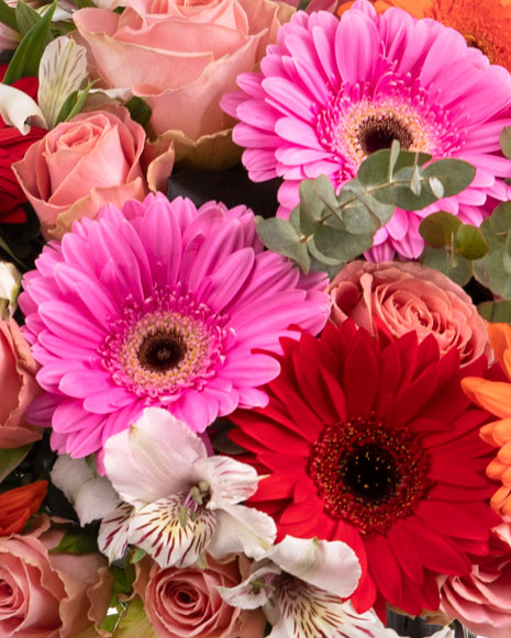 Colored flowers in a mix bouquet