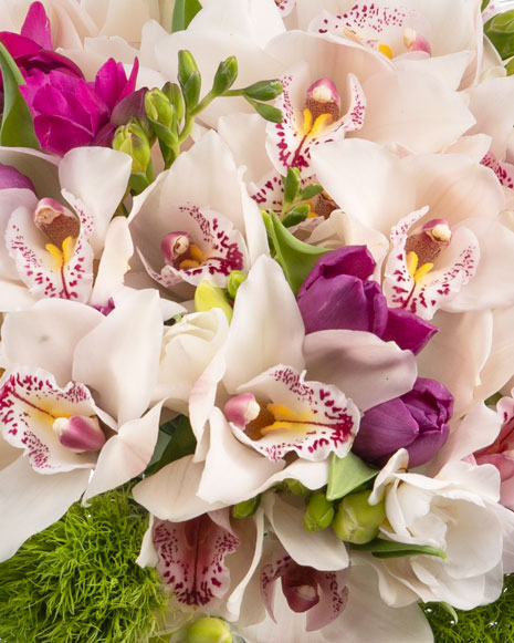 Orchids and freesias bouquet 