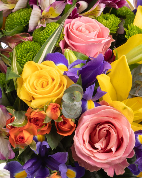 Bouquet flowers in pastel colors
