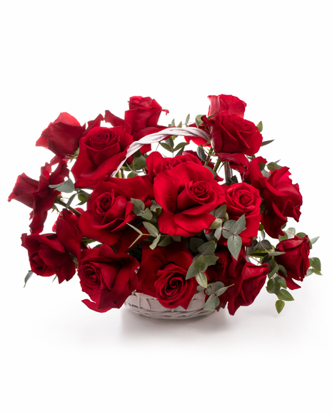 Red roses basket
