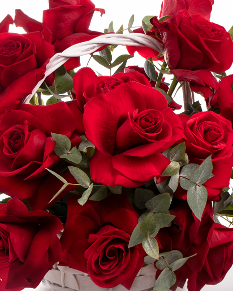 Red roses basket