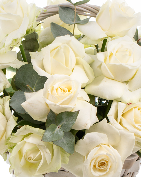 White roses basket