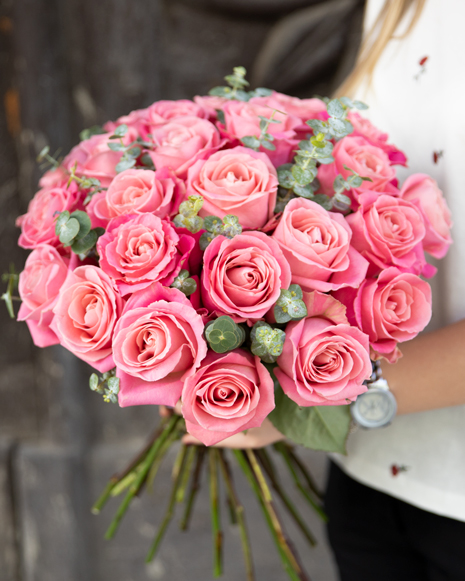 Pink roses and baby eucalyptus