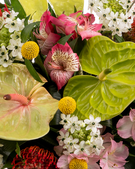 Buchet cu anthurium și alstroemeria