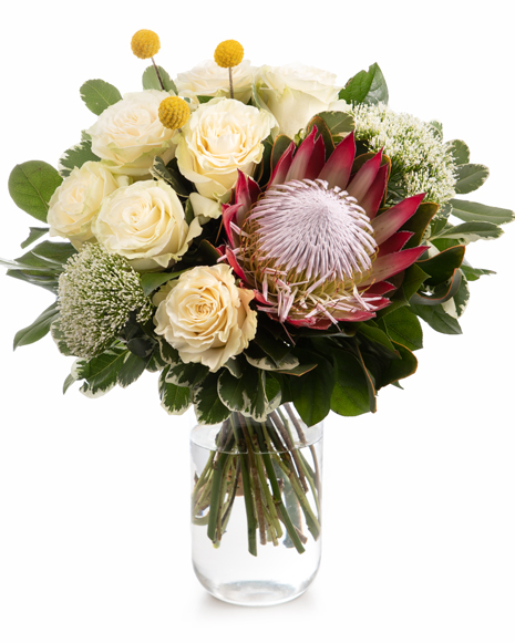 Bouquet with white roses and protea