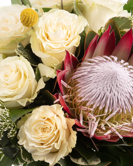 Bouquet with white roses and protea