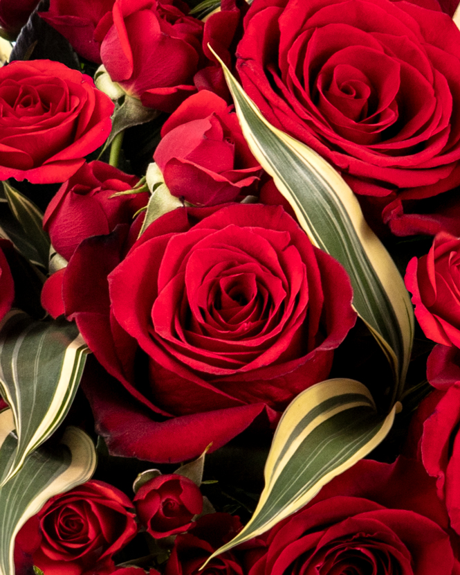 Buchet cu trandafiri roșii și dracaena