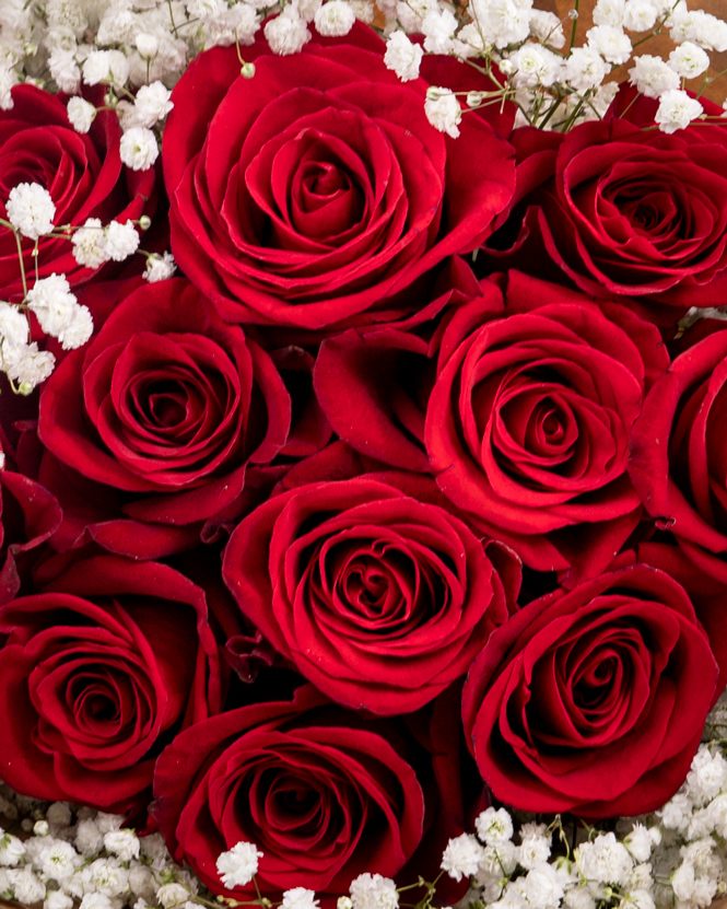 11 red roses bouquet