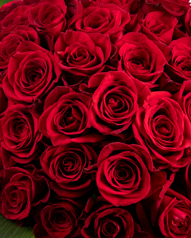 Buchet cu 49 trandafiri roşii