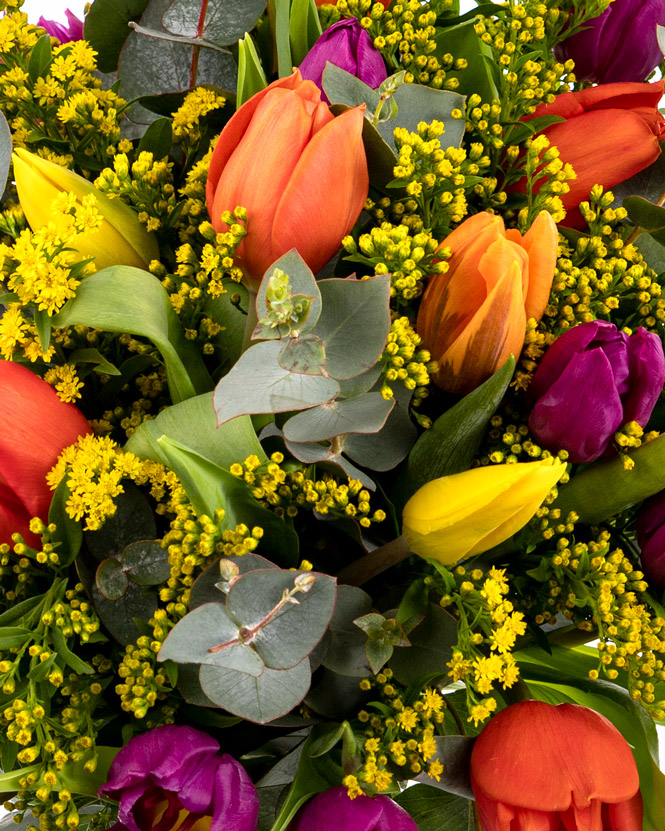 Tulips and solidago bouquet