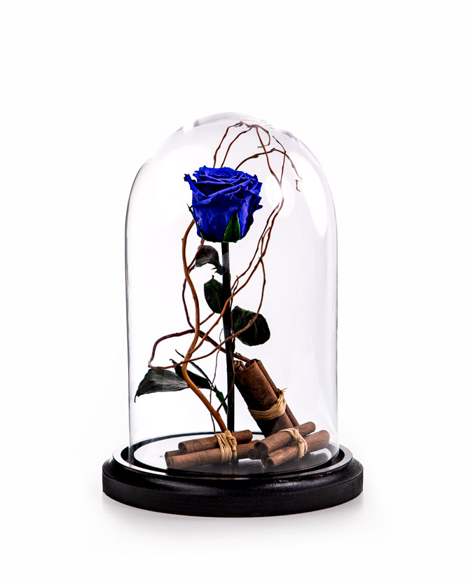 Trandafir criogenat albastru în cupolă
