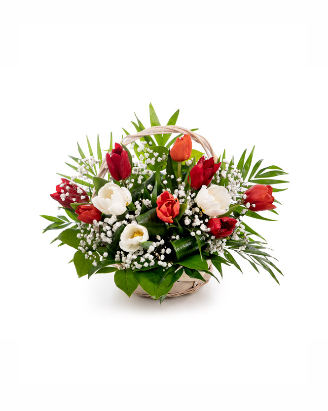Red and white tulips basket