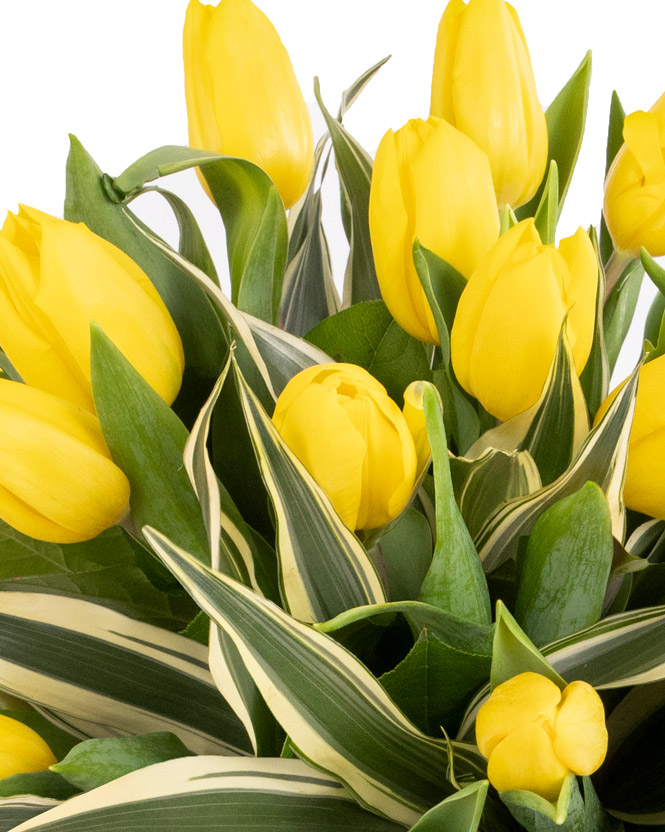Bouquet with yellow tulips