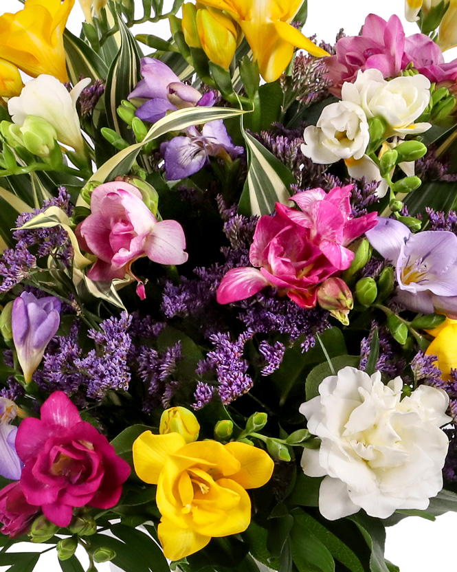 Bouquet with colorful freesias