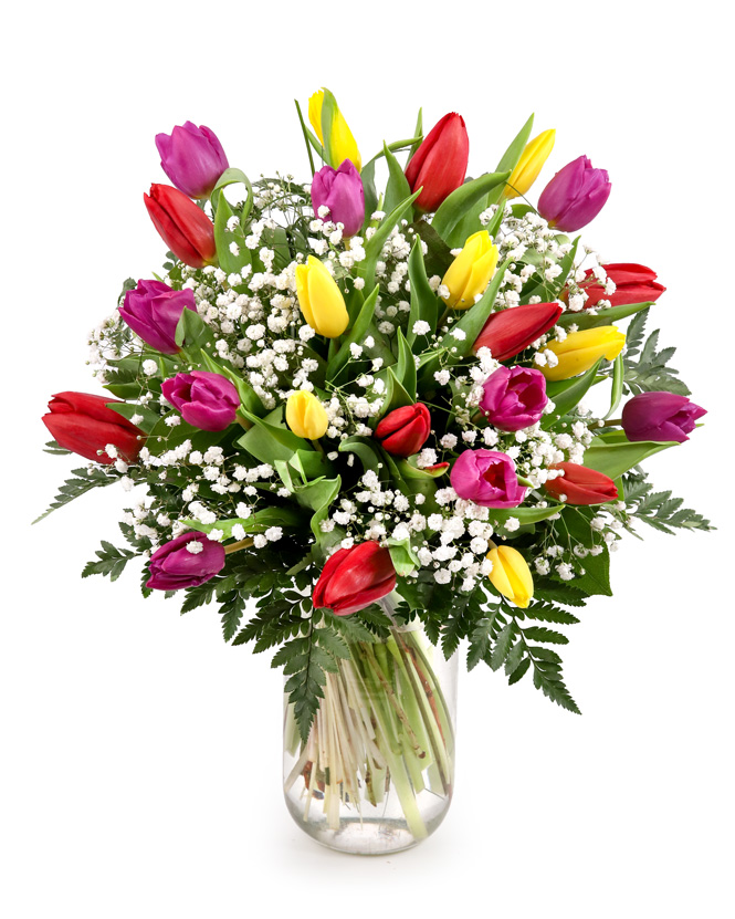 Bouquet with colorful tulips and gypsophila