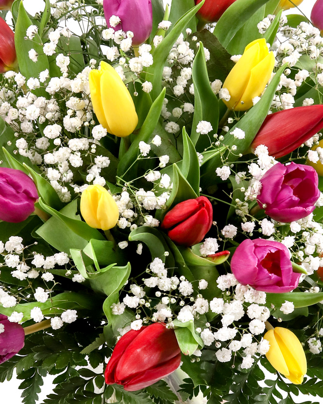 Bouquet with colorful tulips and gypsophila