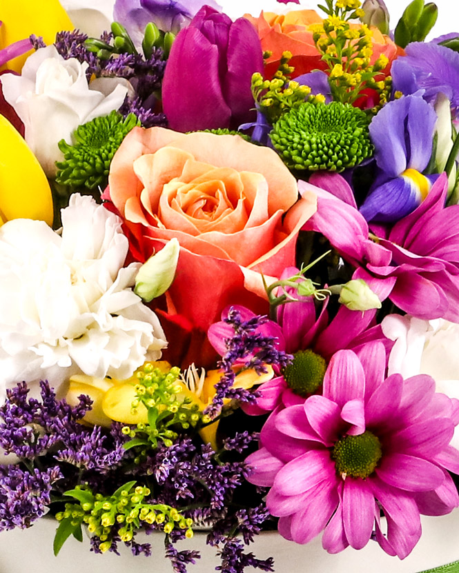 Colorful flower box