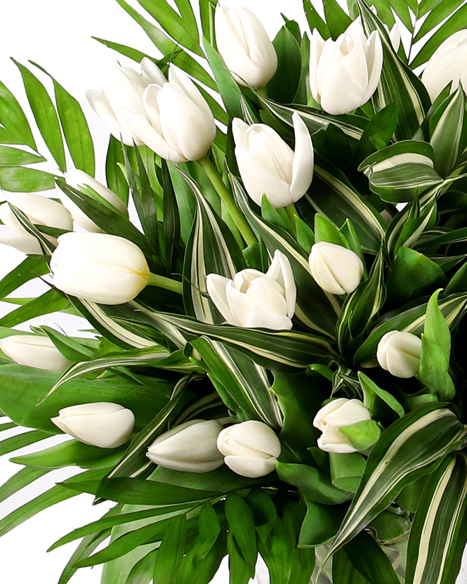 White tulip bouquet