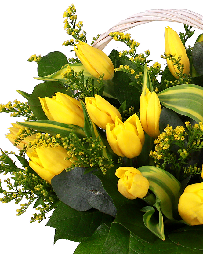Basket with yellow tulips