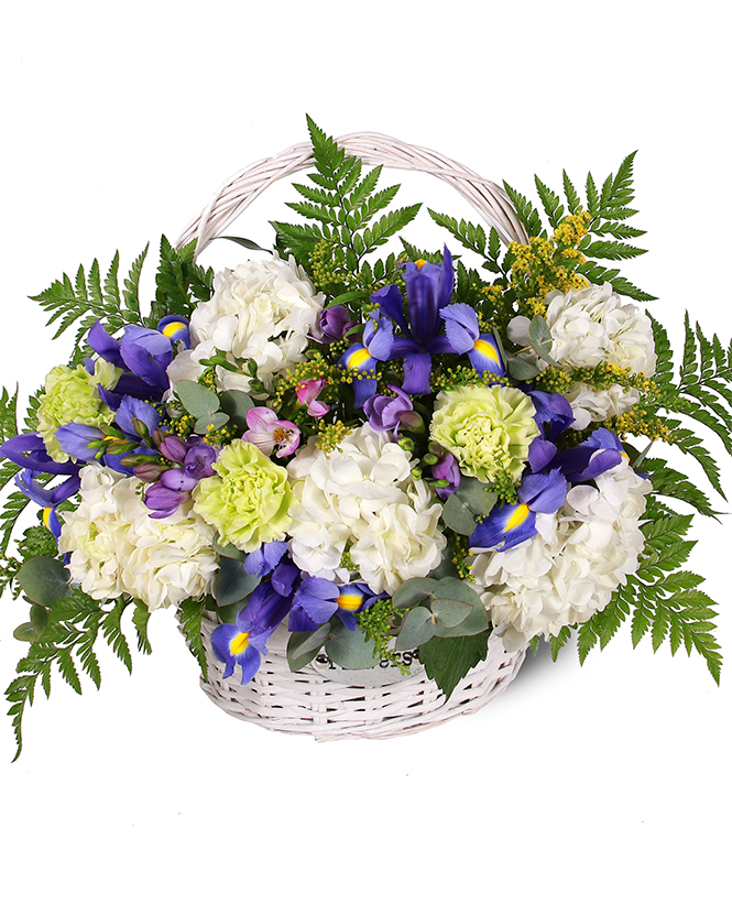 Hydrangea and iris basket