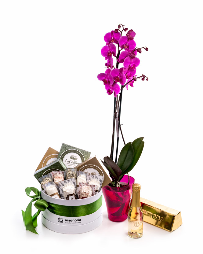 Phalaenopsis orchid and cheese box