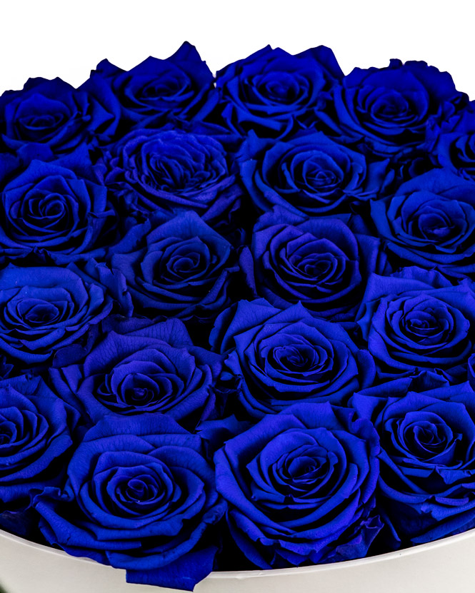Box with blue preserved roses