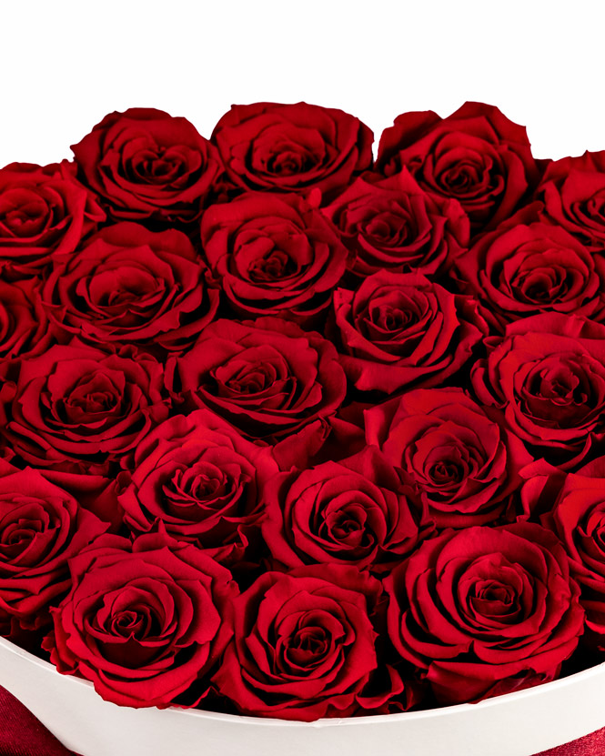 Red preserved roses in box