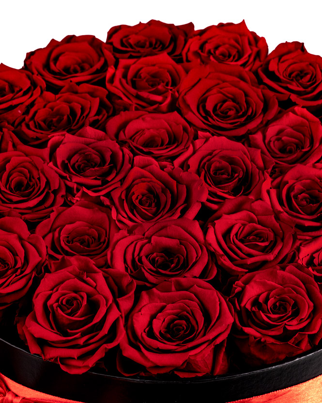 Preserved red roses in a black box