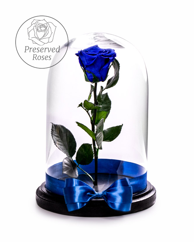 Blue preserved rose