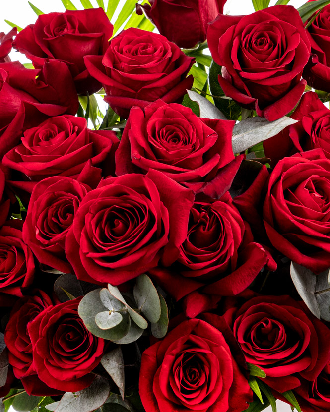 Box arrangement with red roses