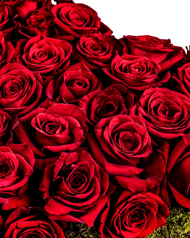 Inimă cu trandafiri roșii