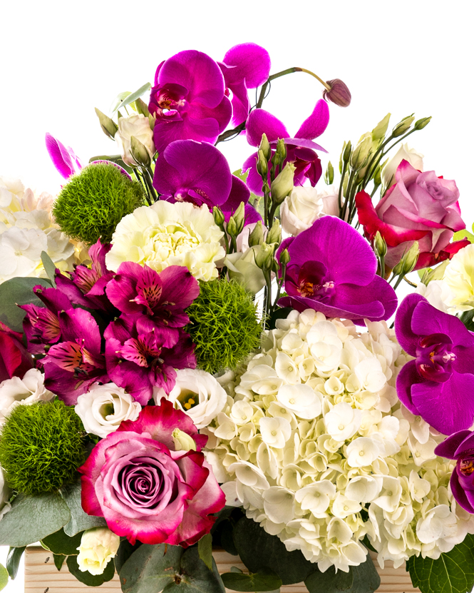 Arrangement with Orchids and Hydrangeas