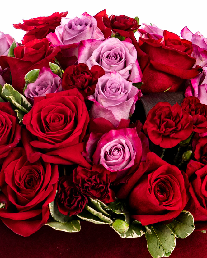 Cutie inimă cu trandafiri mov și roșii