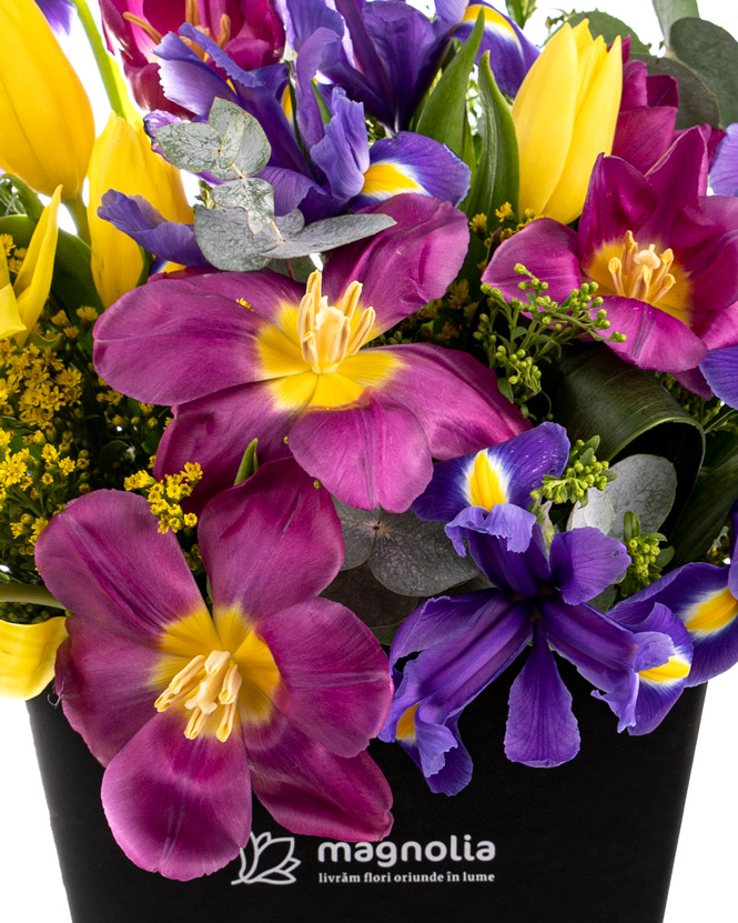 Spring box with tulips and irises