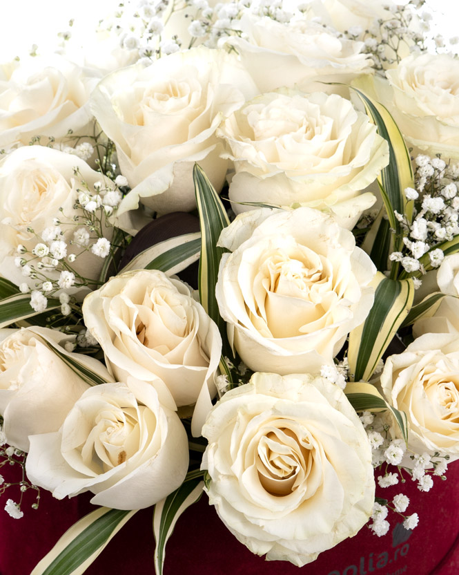 White roses in heart box