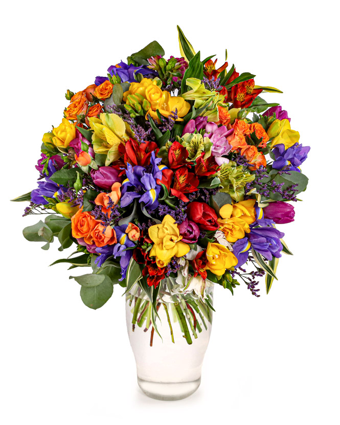Spring Colorburst