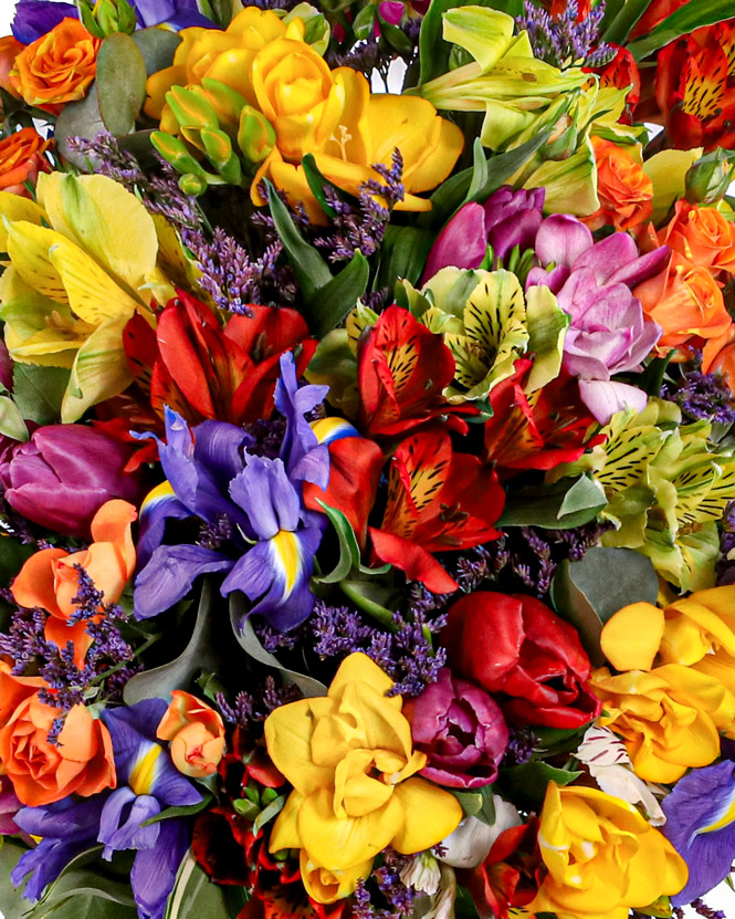 Spring Colorburst