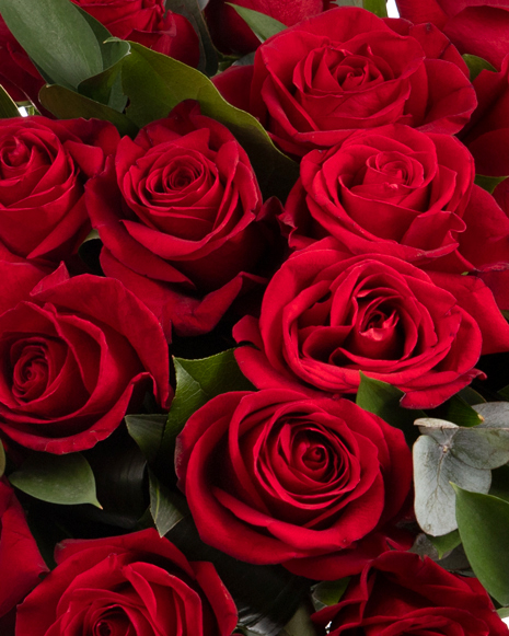 Buchet clasic cu trandafiri rosii