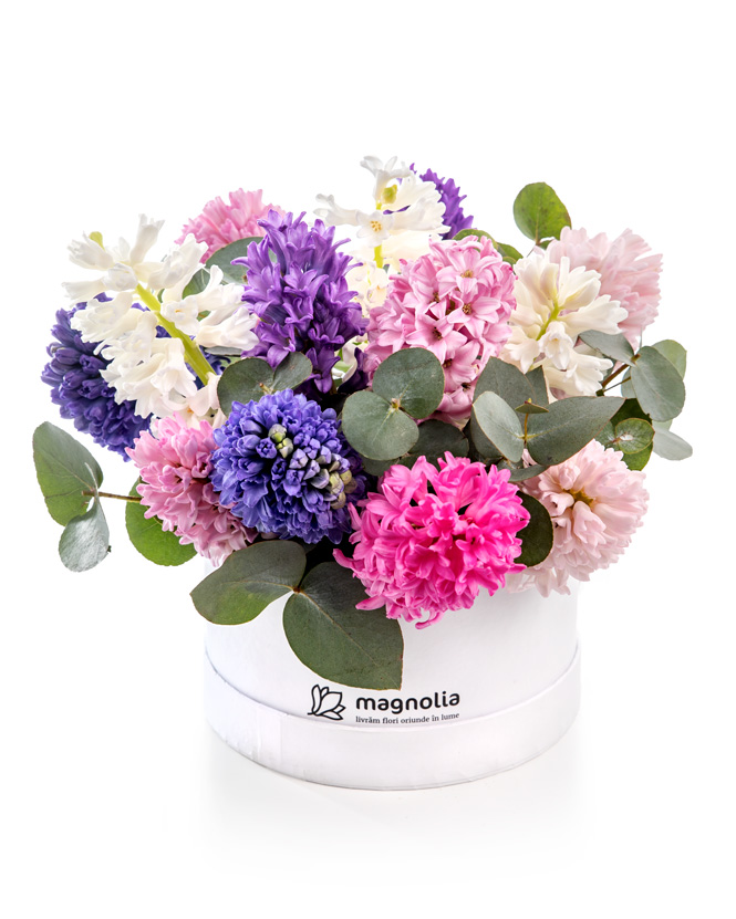 Hyacinth arangement