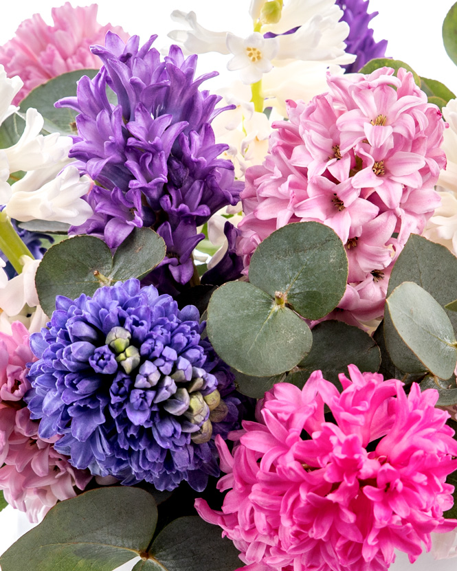 Hyacinth arangement