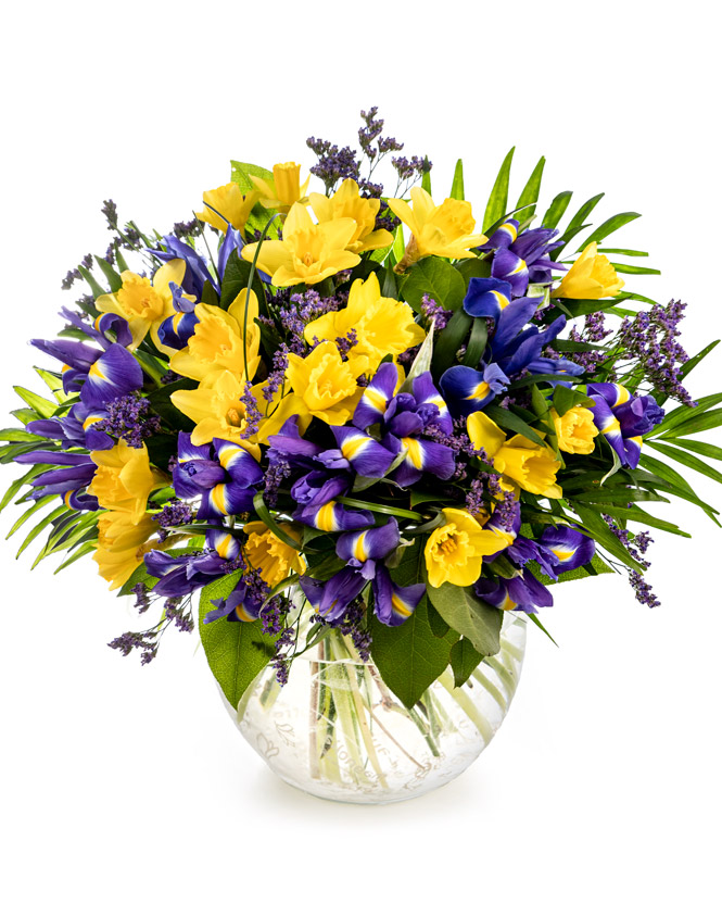 Daffodils and irises bouquet