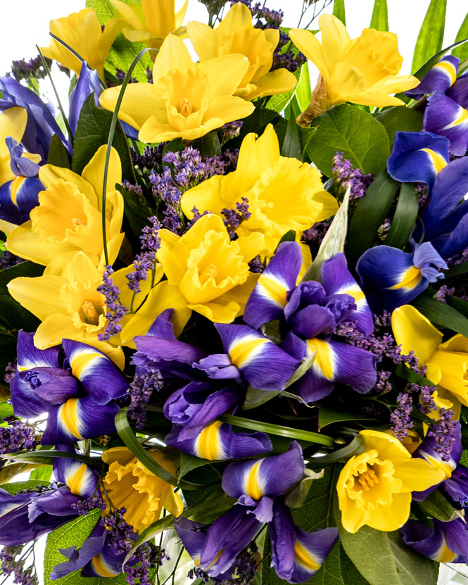 Daffodils and irises bouquet