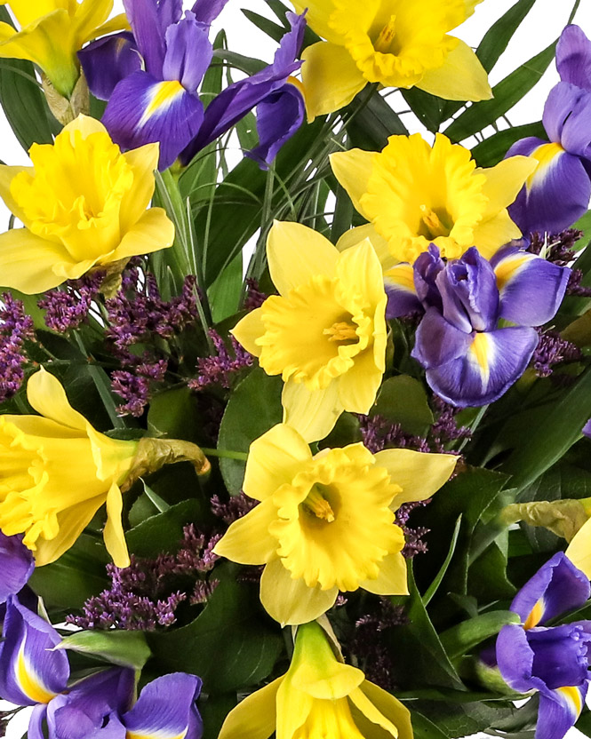 Daffodils and irises bouquet
