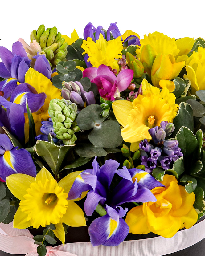 Spring box with perfumed flowers