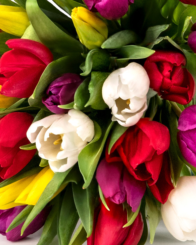 Buchet lalele multicolore