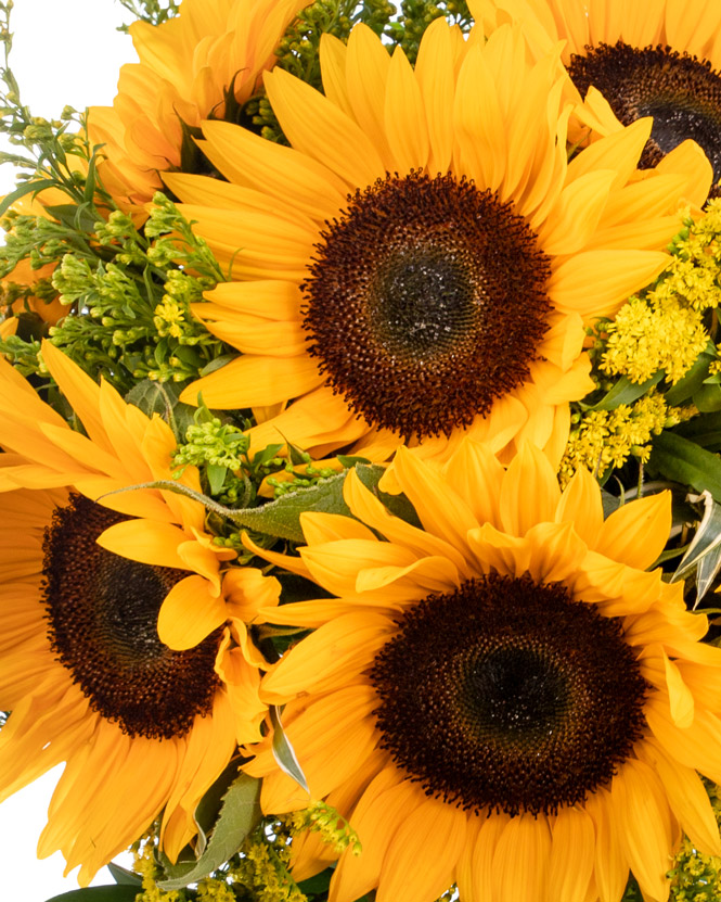 Bouquet with sunflower and solidago