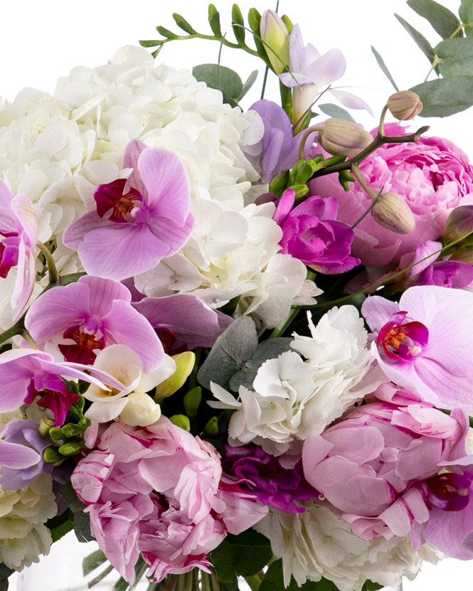 Bouquet of hydrangea, orchids and peonies