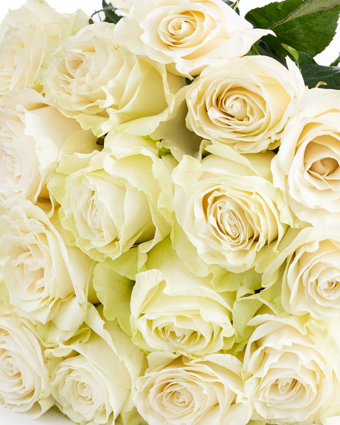 Bouquet white roses